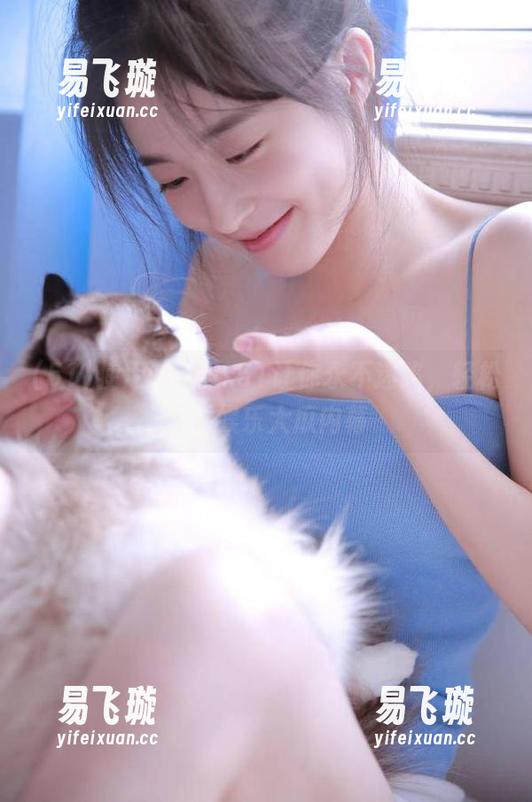 51 使用www..51让你永不迷路,轻松观看娱乐大瓜内幕
