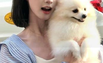 五一吃瓜黑料真相揭秘，官网带你全面了解