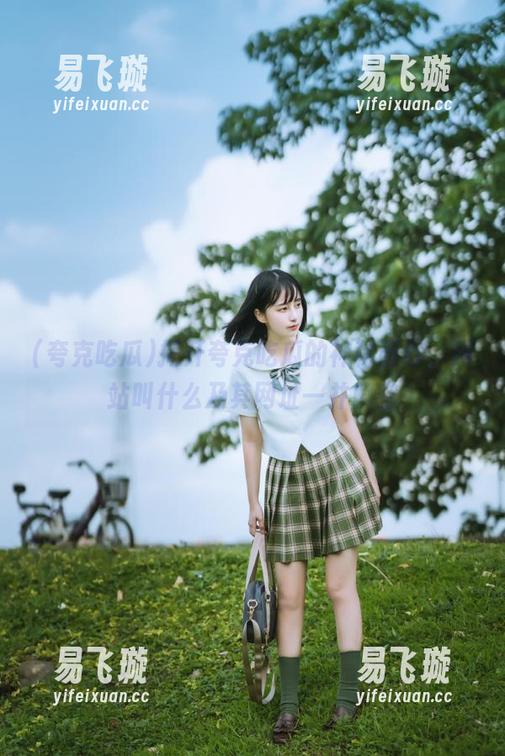 夸克吃瓜 揭开夸克吃瓜的神秘面纱,网站叫什么及其网址一并解密